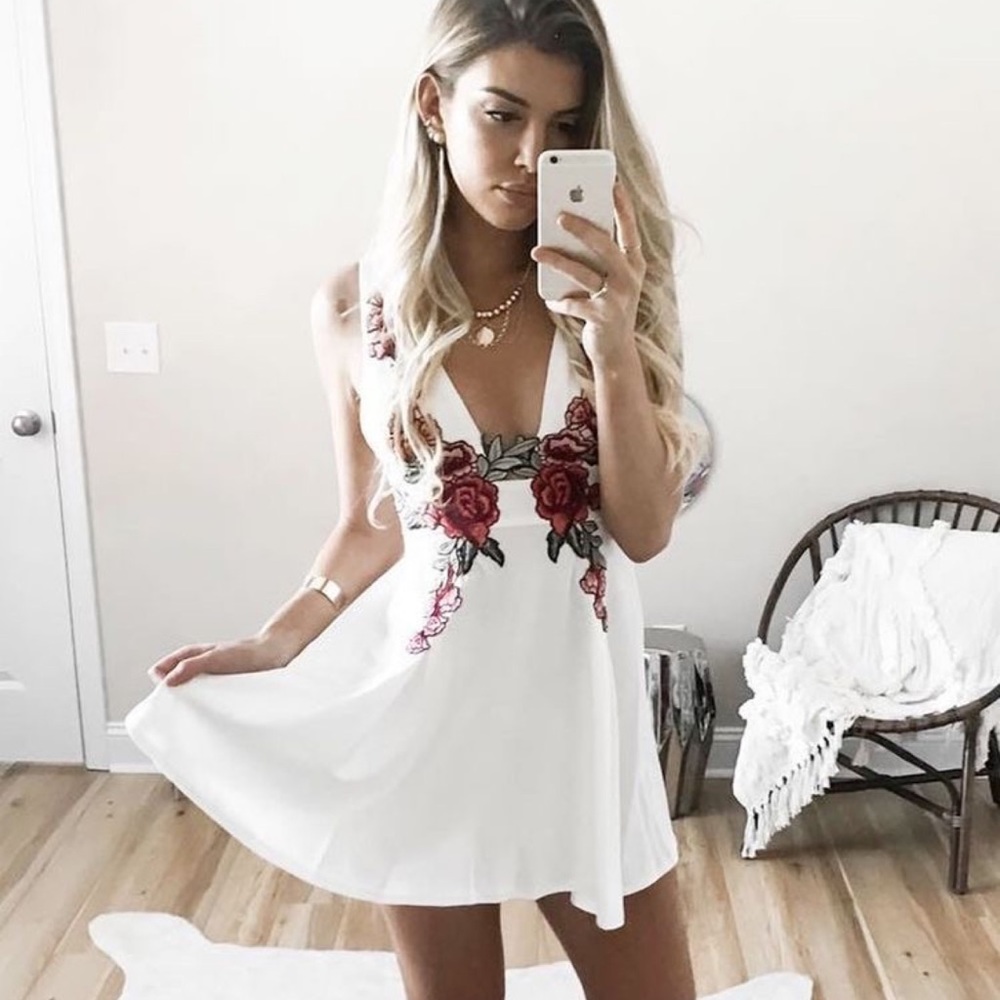 Rose Floral Embroidered Plunging V Skater Dress - Picture 1 of 10